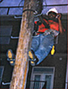 Sean Golden on a telephone pole
